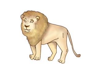 ムツゴロウさんと大将の星の消化☆