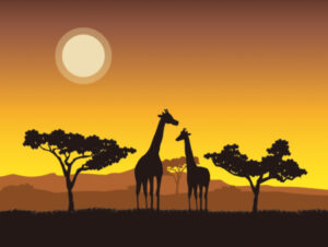 日本の宝その1☆歌姫MISIAさんの星☆