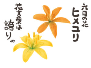 今日は戦後80年沖縄慰霊の日です🙏